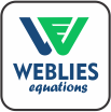 Weblies Equations